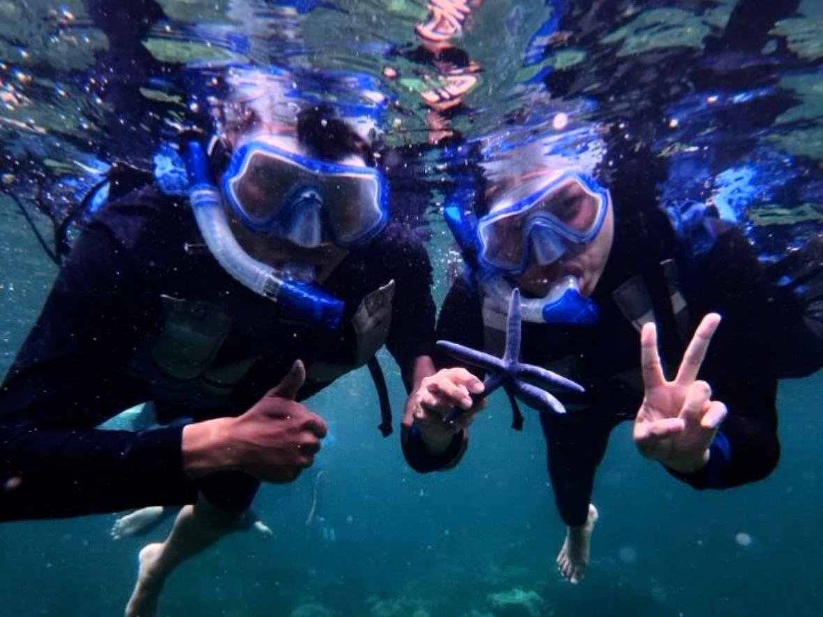 Snorkeling Tour Island